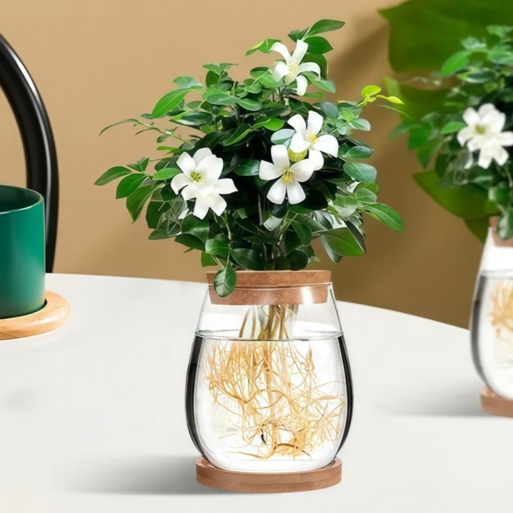 Propagation Station Vase - Przezroczysty hydroponiczny doniczka z drewnianą tacą,