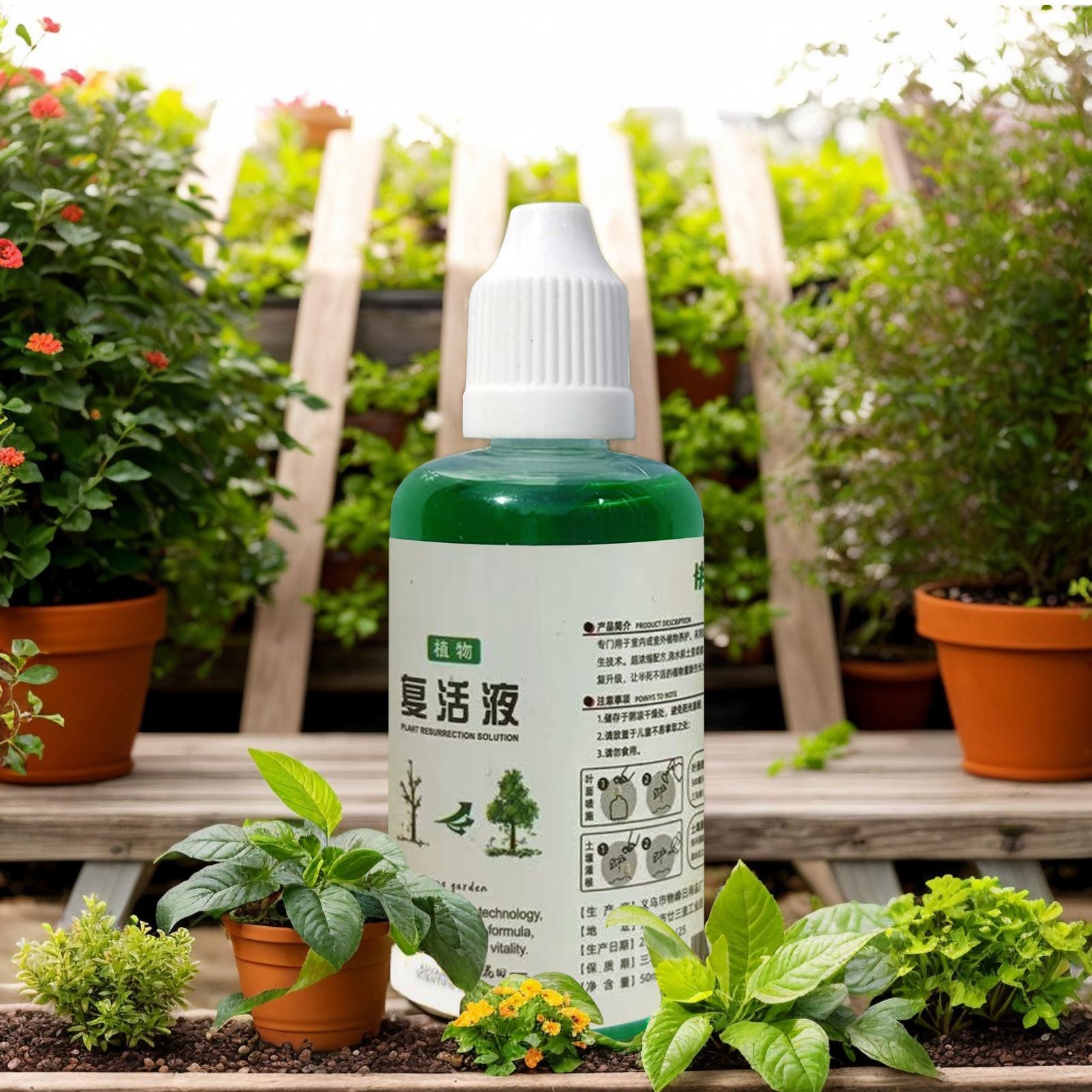 Stymulator wzrostu korzeni dla – Root Stimulator Liquid recenzja i cena