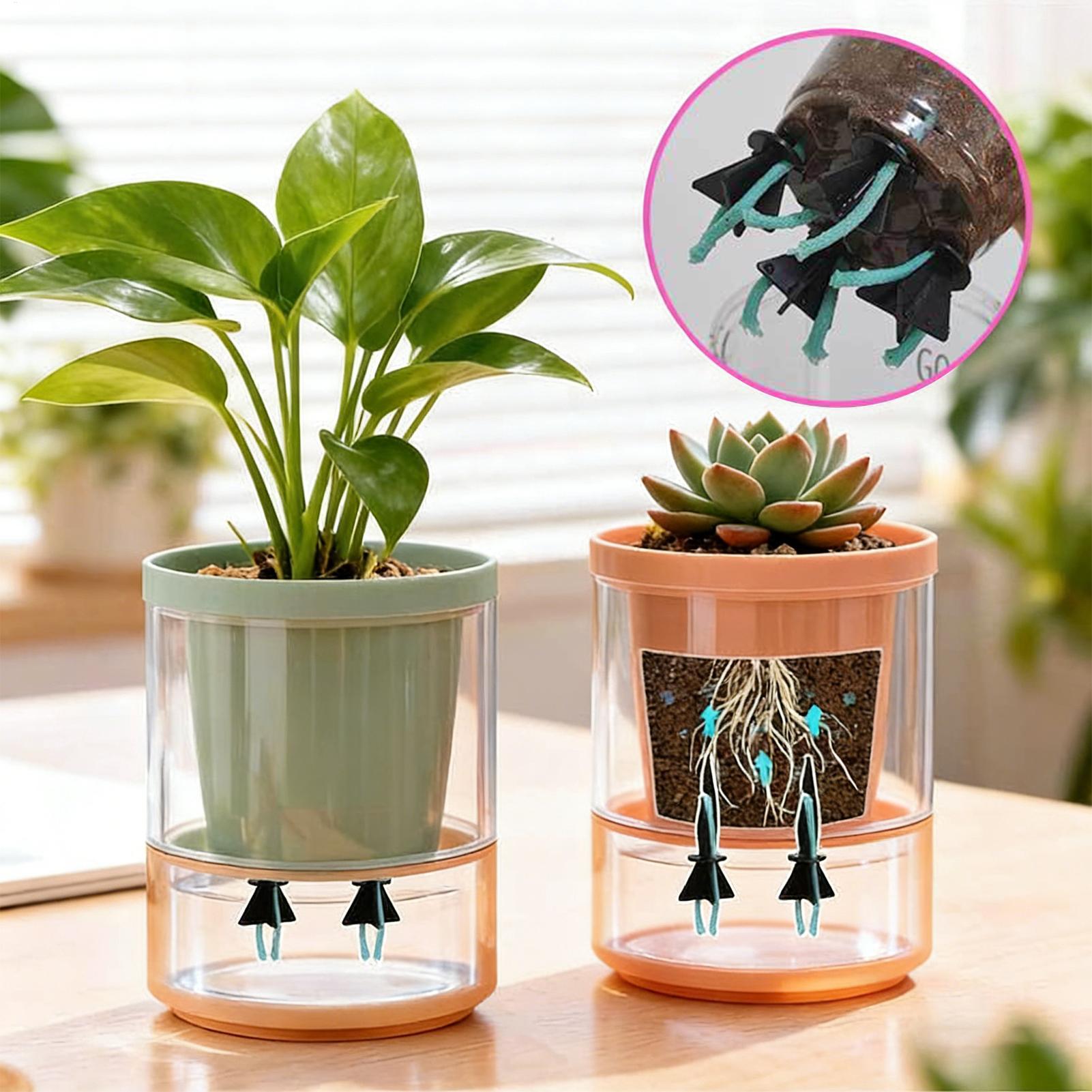 Samozraszające się wkładki do  – Self Watering Insert recenzja i cena