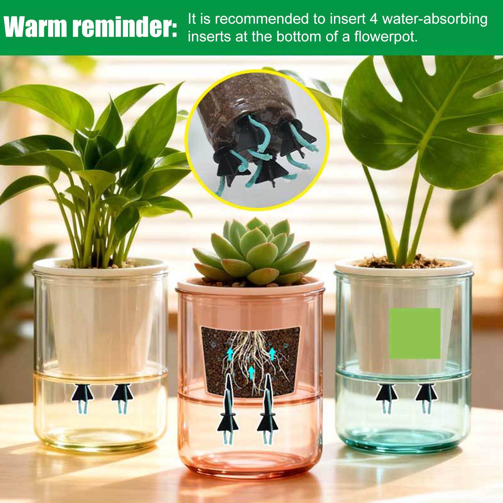Samozraszające się wkładki do  – Self Watering Insert recenzja i cena