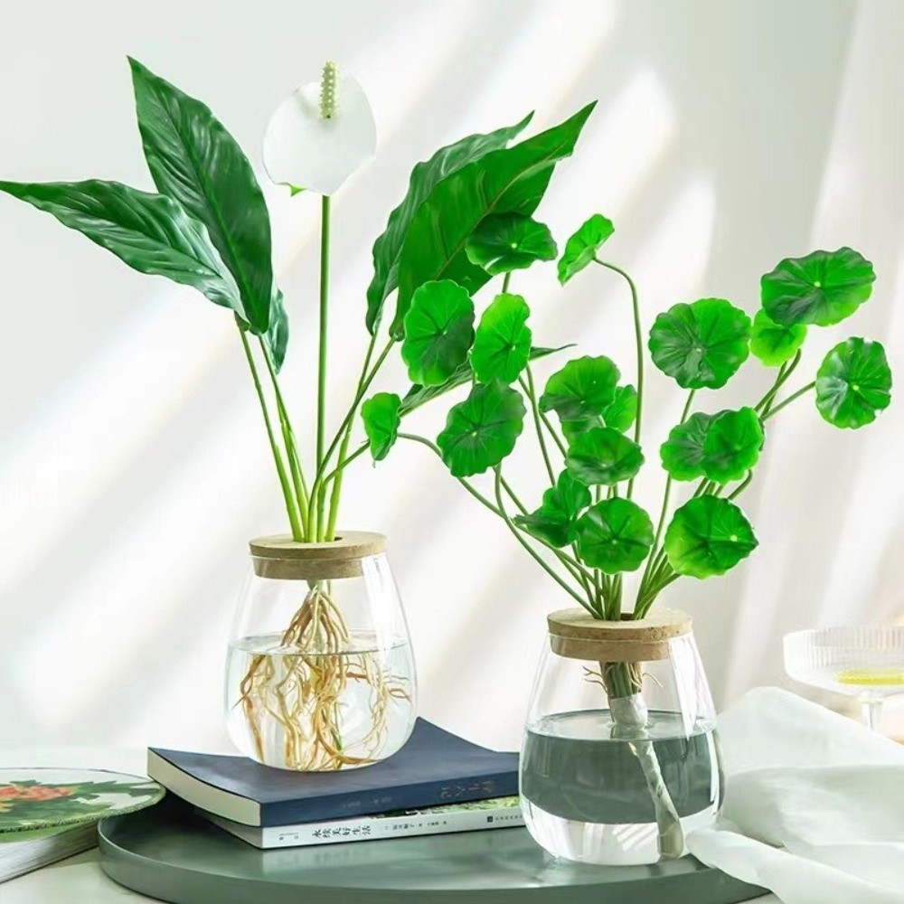 Przezroczysty hydroponiczny do – Propagation Station Vase recenzja i cena