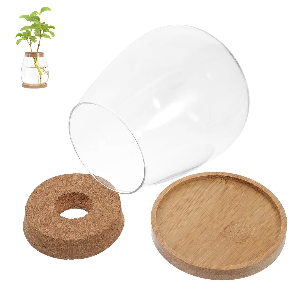 Przezroczysty hydroponiczny do – Propagation Station Vase recenzja i cena
