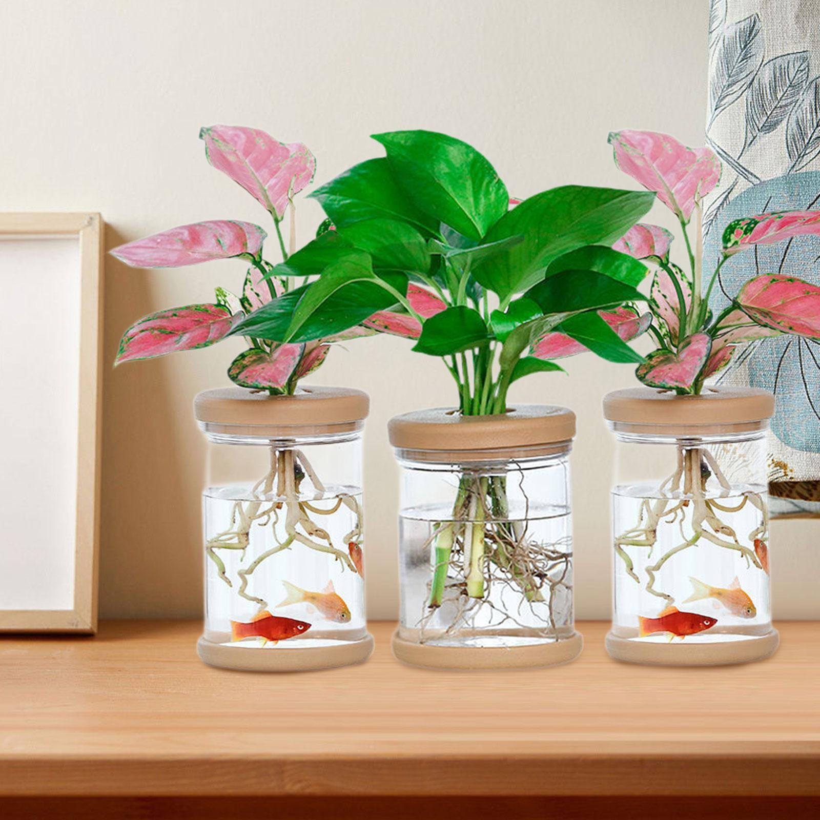 3 szt. Wazony hydroponiczne, d – Propagation Station Vase recenzja i cena