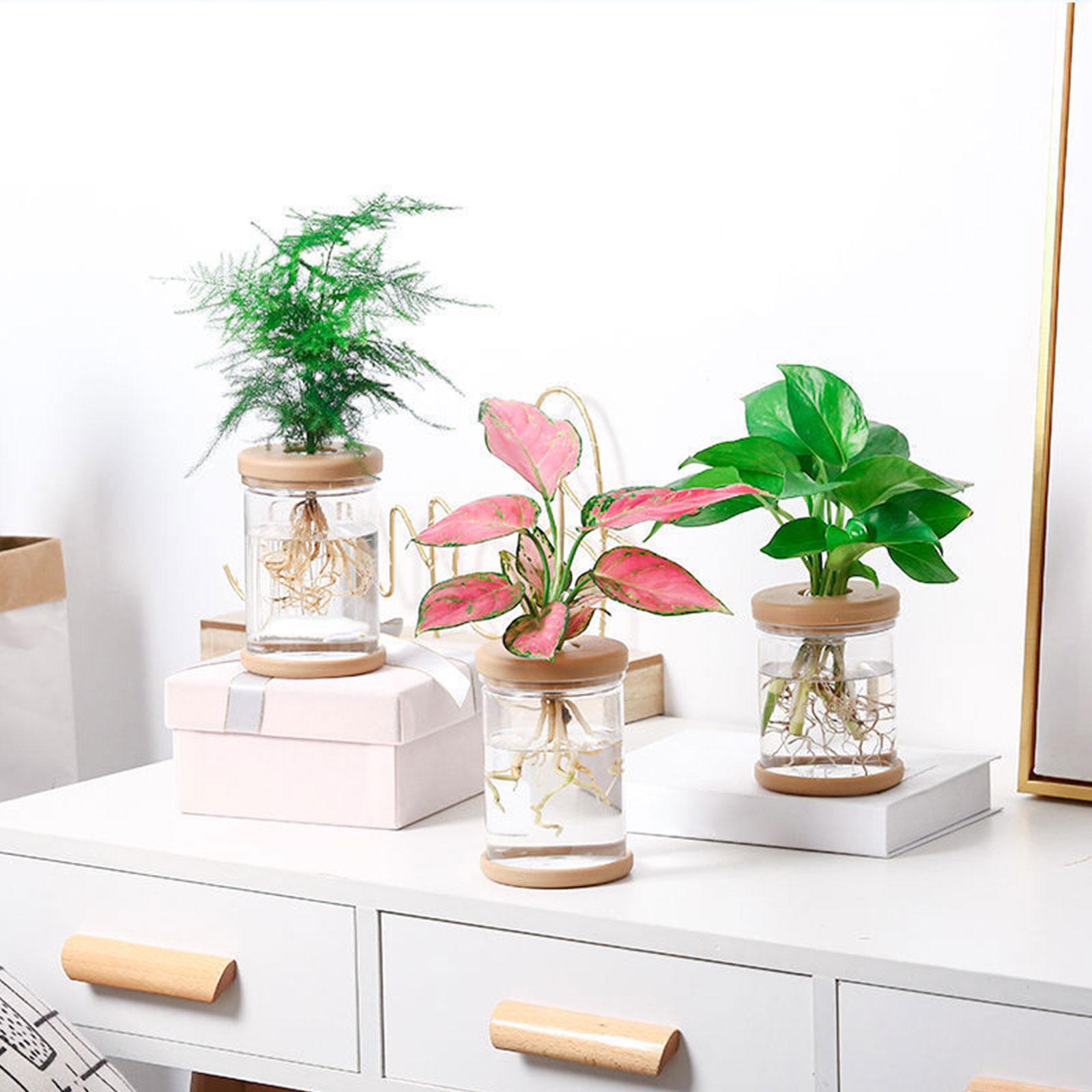 3 szt. Wazony hydroponiczne, d – Propagation Station Vase recenzja i cena