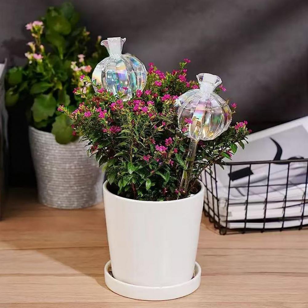 Automatyczne nawadniacze do ro – Self Watering Insert recenzja i cena