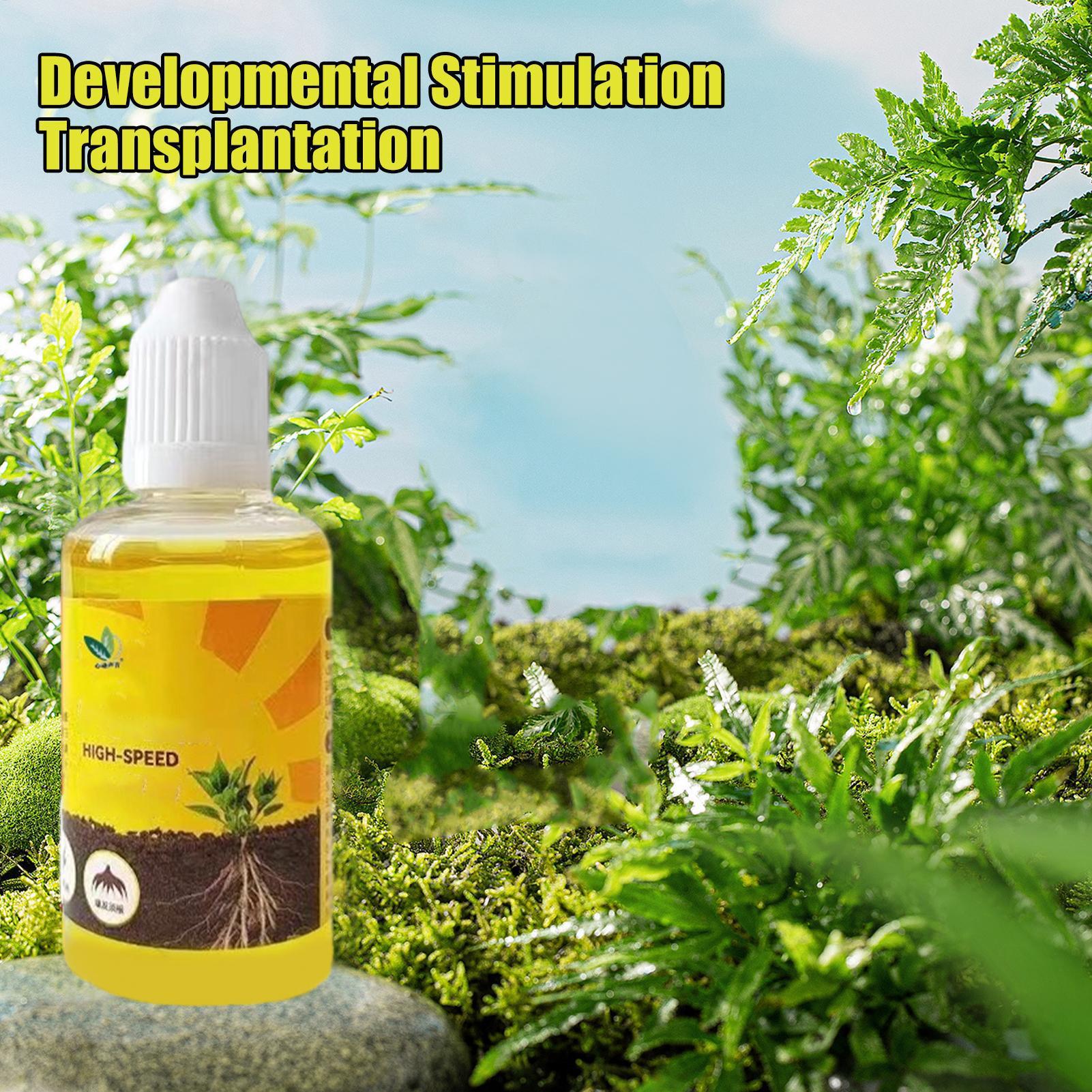 Płyn do Rewitalizacji Roślin 5 – Root Stimulator Liquid recenzja i cena