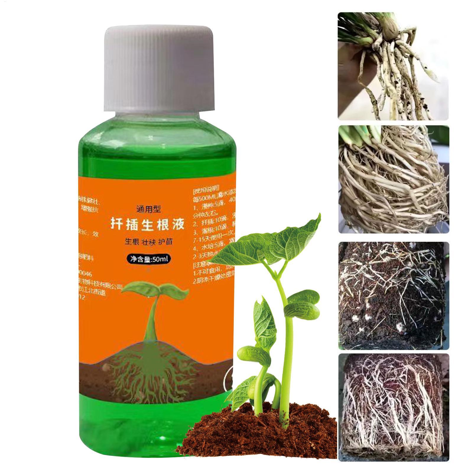 50ml Roztwór odżywczy do przes – Root Stimulator Liquid recenzja i cena