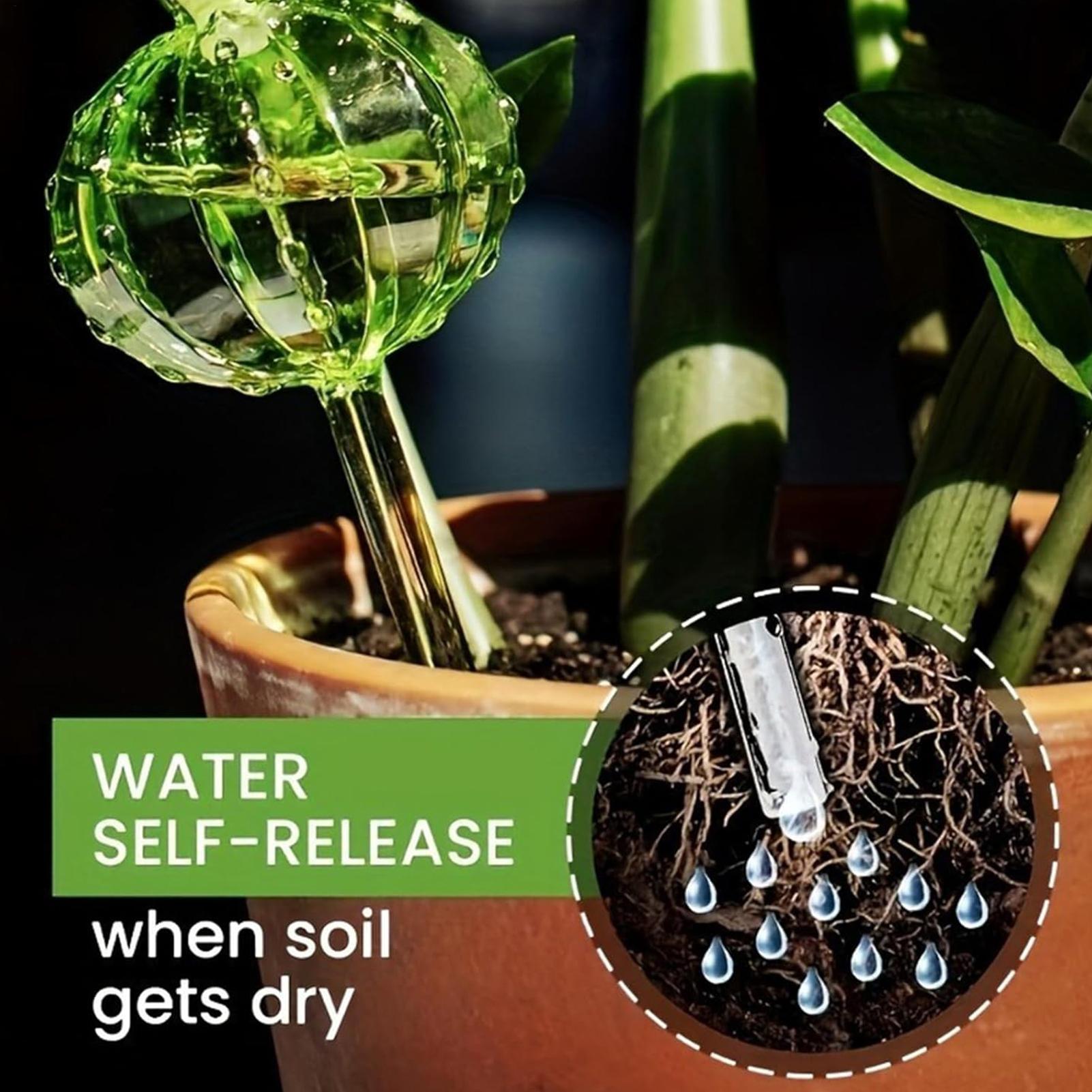 Kolce do podlewania roślin 3 s – Self Watering Insert recenzja i cena