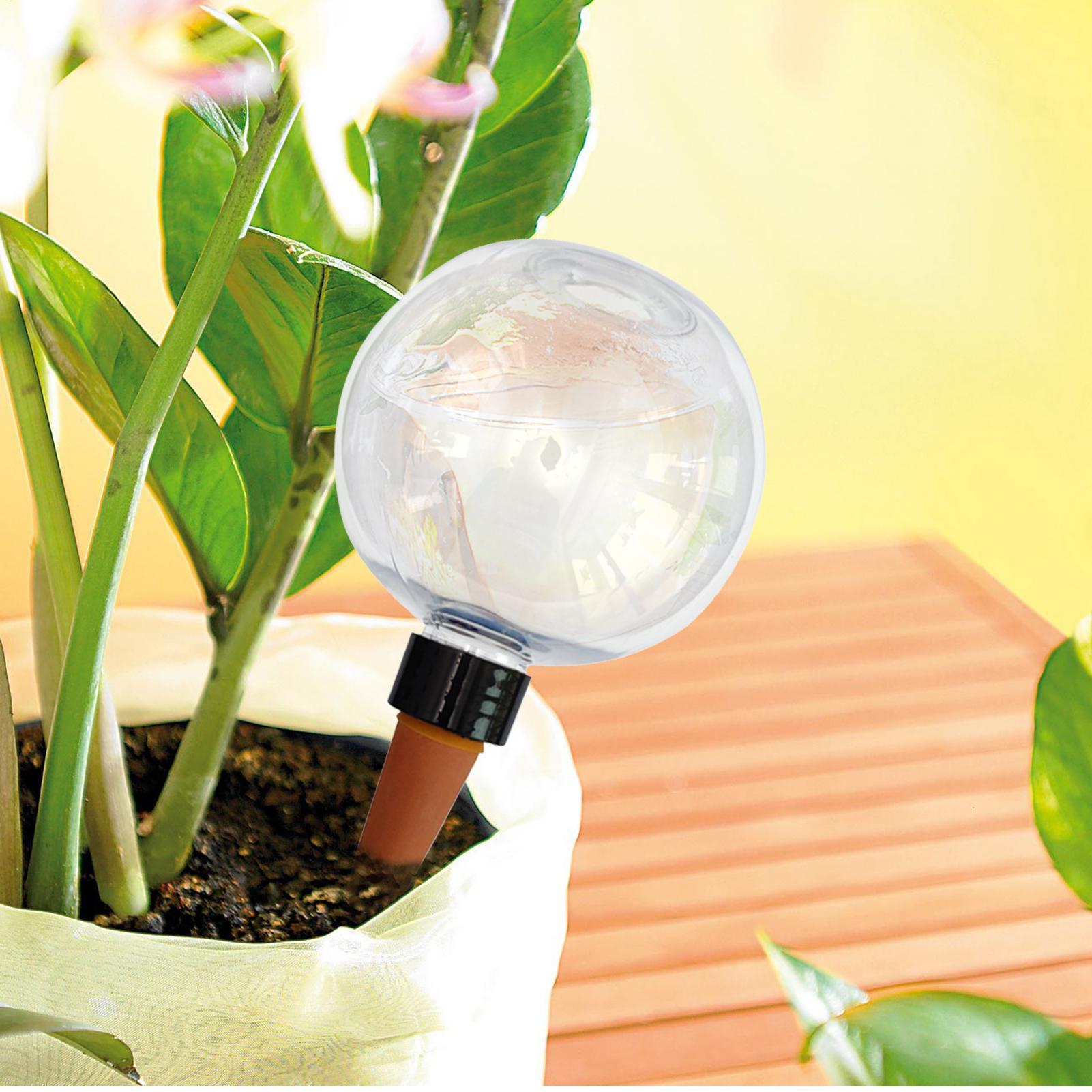 Automatyczne kroplewce do rośl – Self Watering Insert recenzja i cena